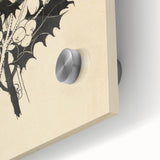 Botanical Black and White Grunge Art - Distressed Canvas Print Decor