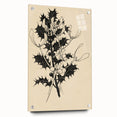 Botanical Black and White Grunge Art - Distressed Canvas Print Decor