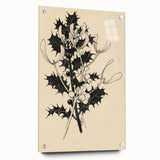 Botanical Black and White Grunge Art - Distressed Canvas Print Decor