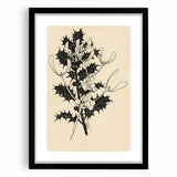 Botanical Black and White Grunge Art - Distressed Canvas Print Decor