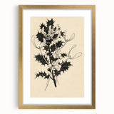Botanical Black and White Grunge Art - Distressed Canvas Print Decor