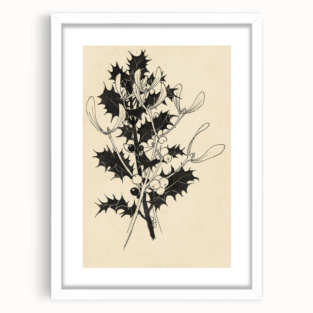 Botanical Black and White Grunge Art - Distressed Canvas Print Decor