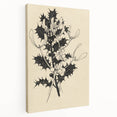 Botanical Black and White Grunge Art - Distressed Canvas Print Decor