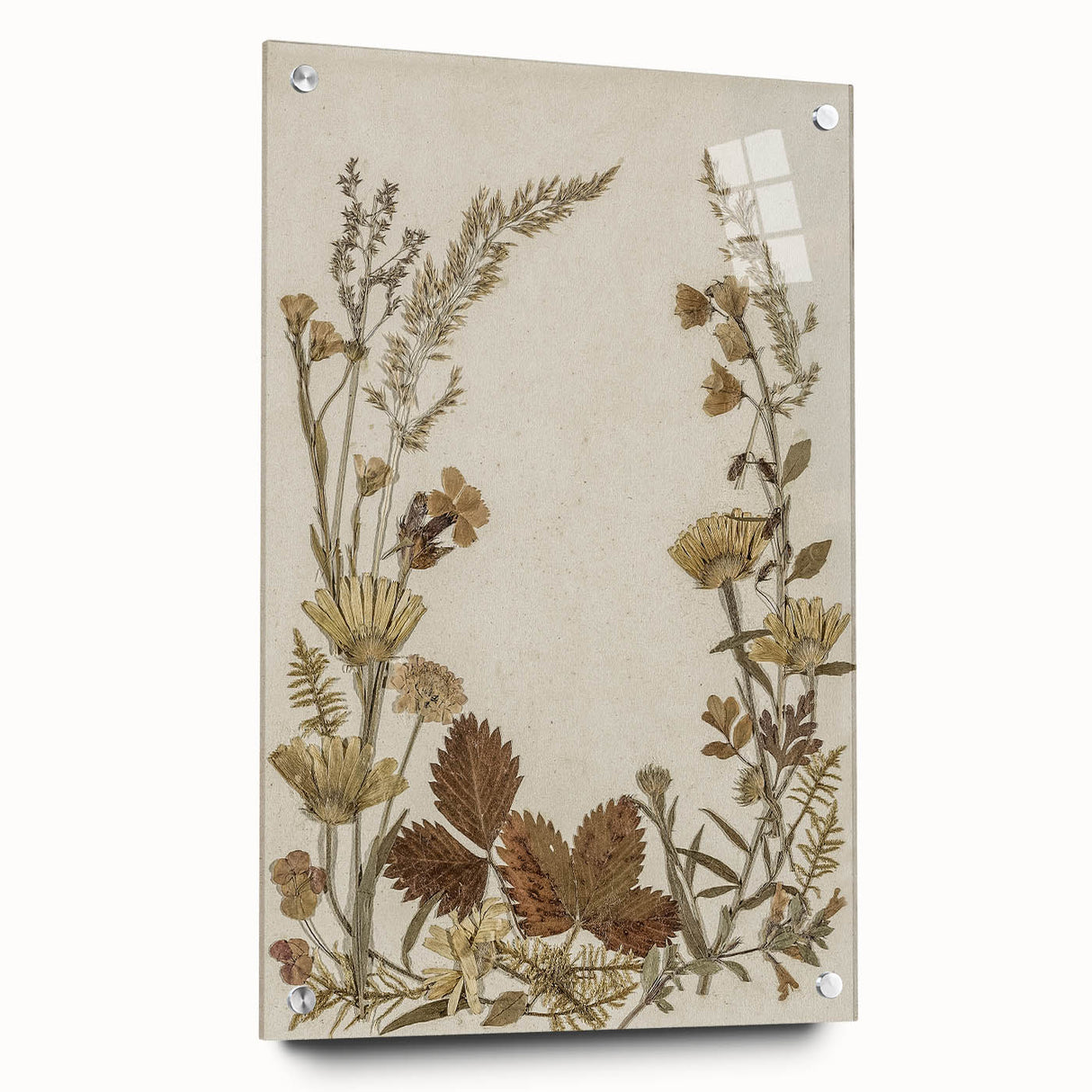 Pressed Botanical Grunge Wall Art - Vintage Floral Grunge Canvas Print