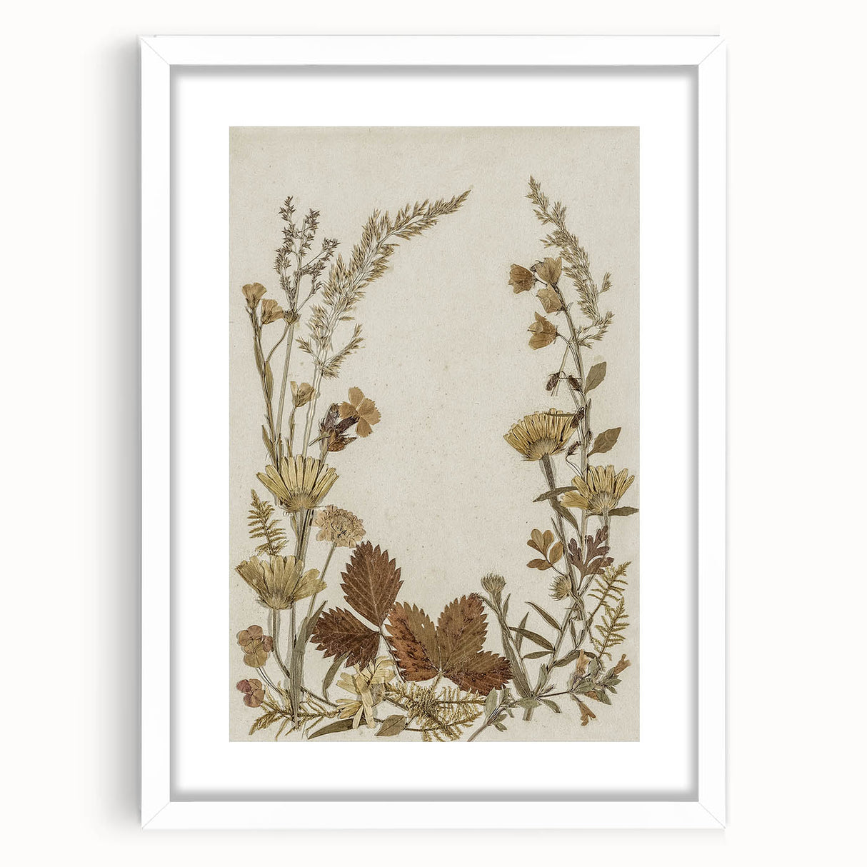 Pressed Botanical Grunge Wall Art - Vintage Floral Grunge Canvas Print