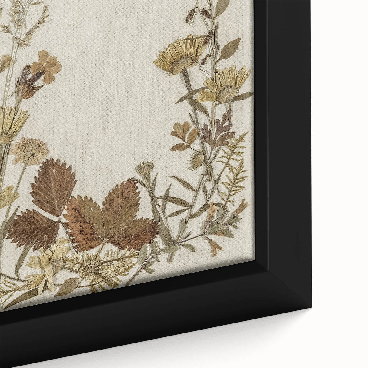 Pressed Botanical Grunge Wall Art - Vintage Floral Grunge Canvas Print