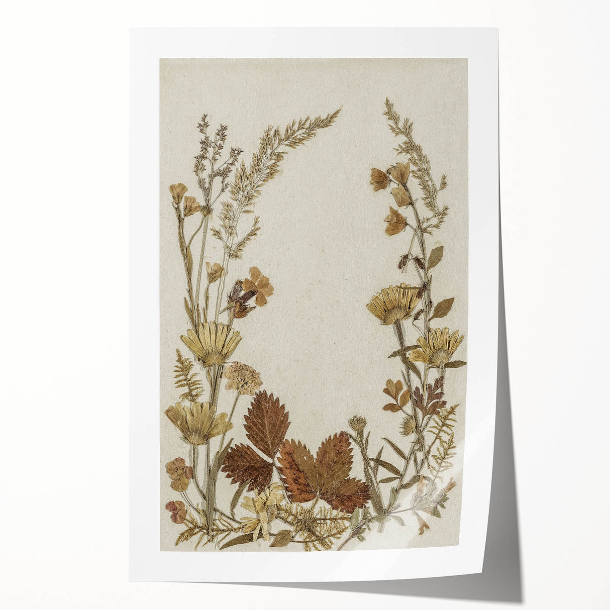 Pressed Botanical Grunge Wall Art - Vintage Floral Grunge Canvas Print