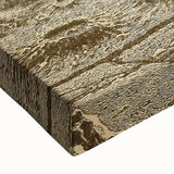 Vintage Moonlit Landscape Grunge Wall Art - Cosmic Grunge Canvas Print