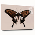 Urban Grunge Art | Grunge Butterfly Wall Art | Modern Grunge Canvas Print