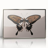 Urban Grunge Art | Grunge Butterfly Wall Art | Modern Grunge Canvas Print