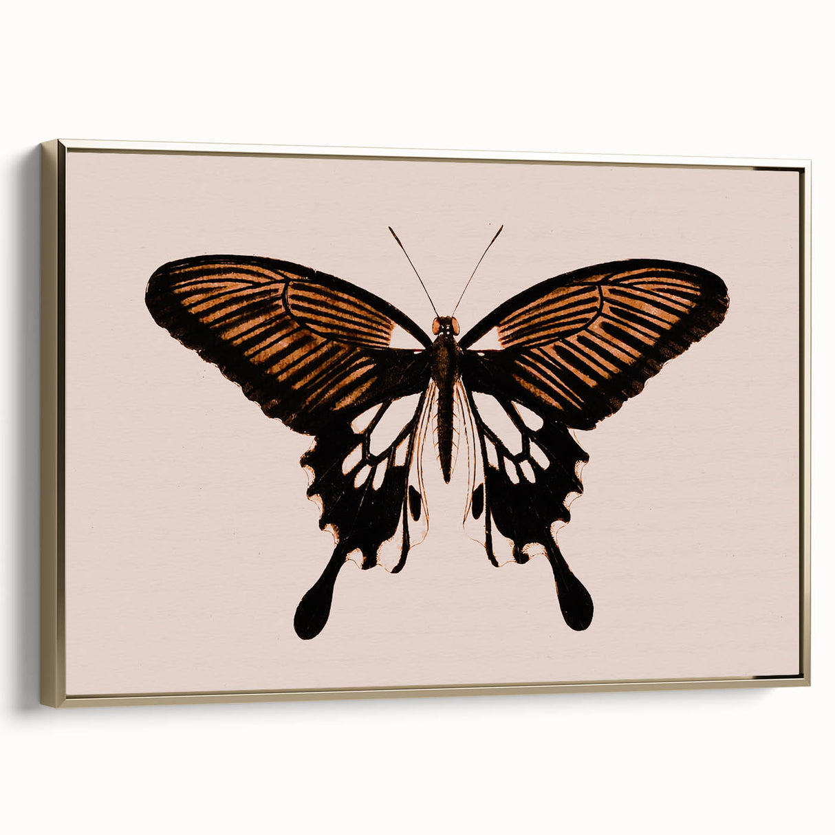 Urban Grunge Art | Grunge Butterfly Wall Art | Modern Grunge Canvas Print