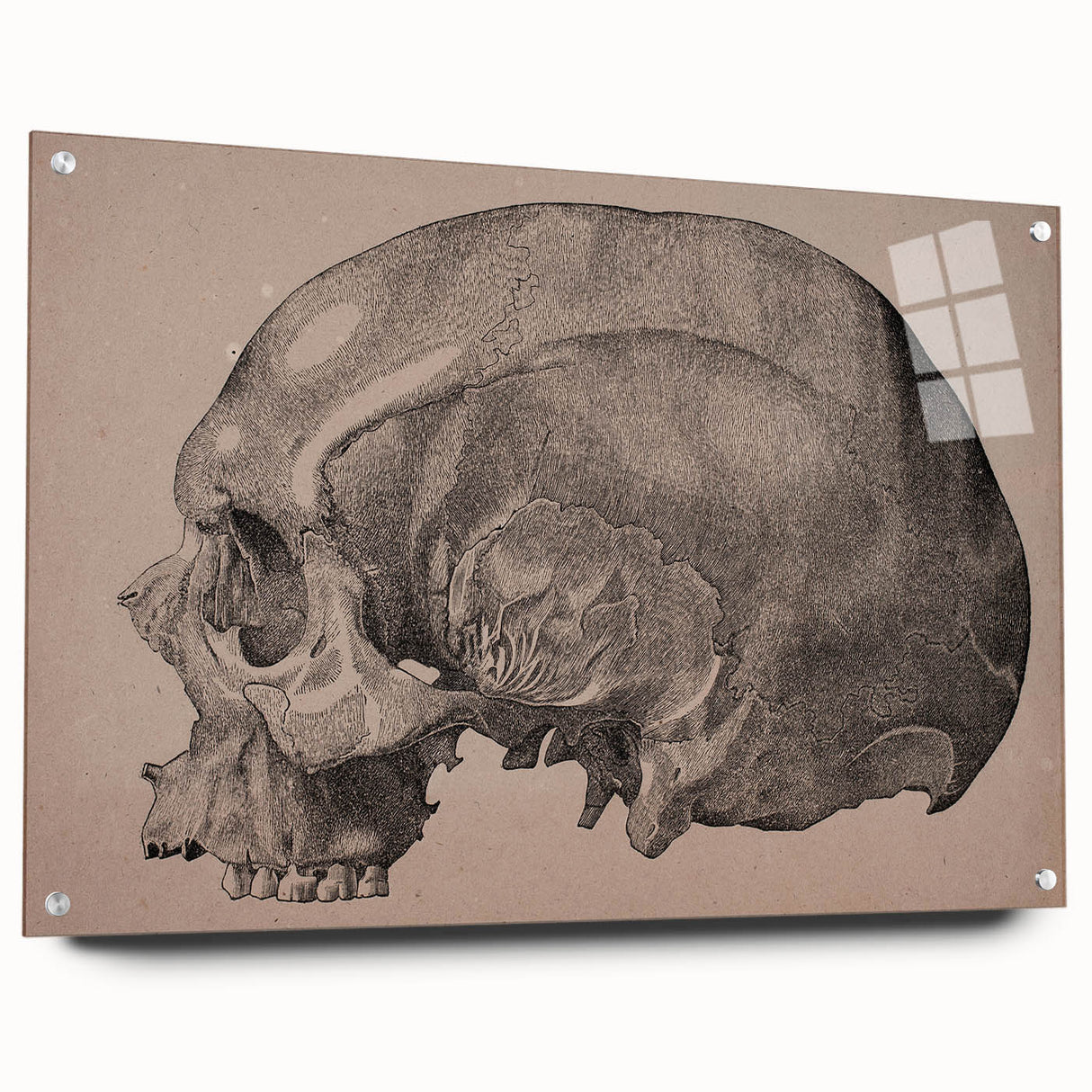 Grunge Skull Wall Art | Urban Grunge Aesthetic Art | Vintage Skull Print