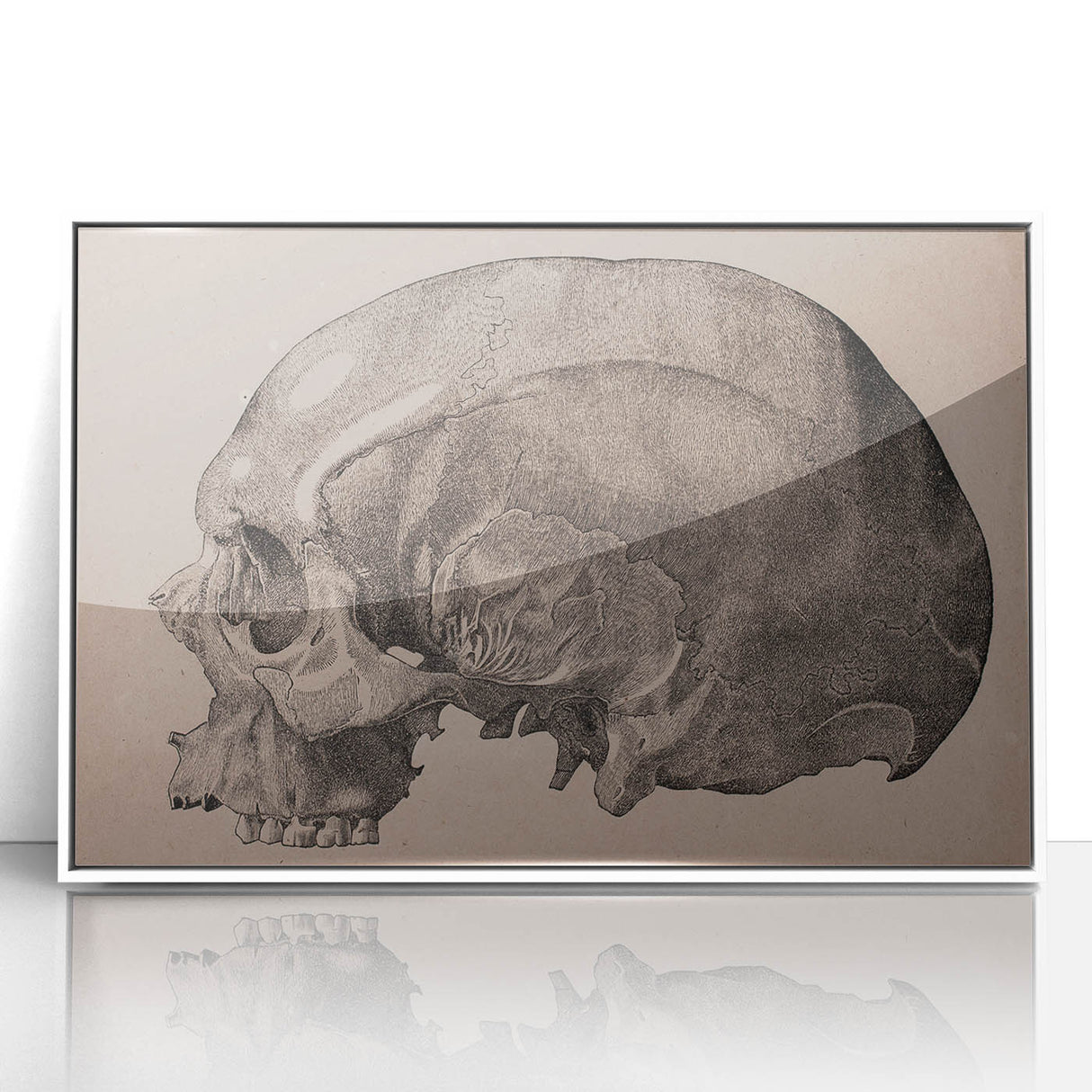 Grunge Skull Wall Art | Urban Grunge Aesthetic Art | Vintage Skull Print