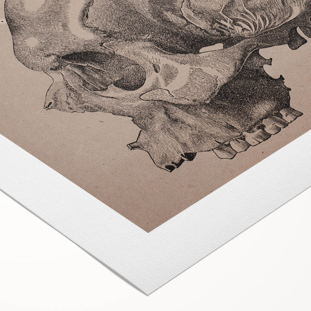 Grunge Skull Wall Art | Urban Grunge Aesthetic Art | Vintage Skull Print
