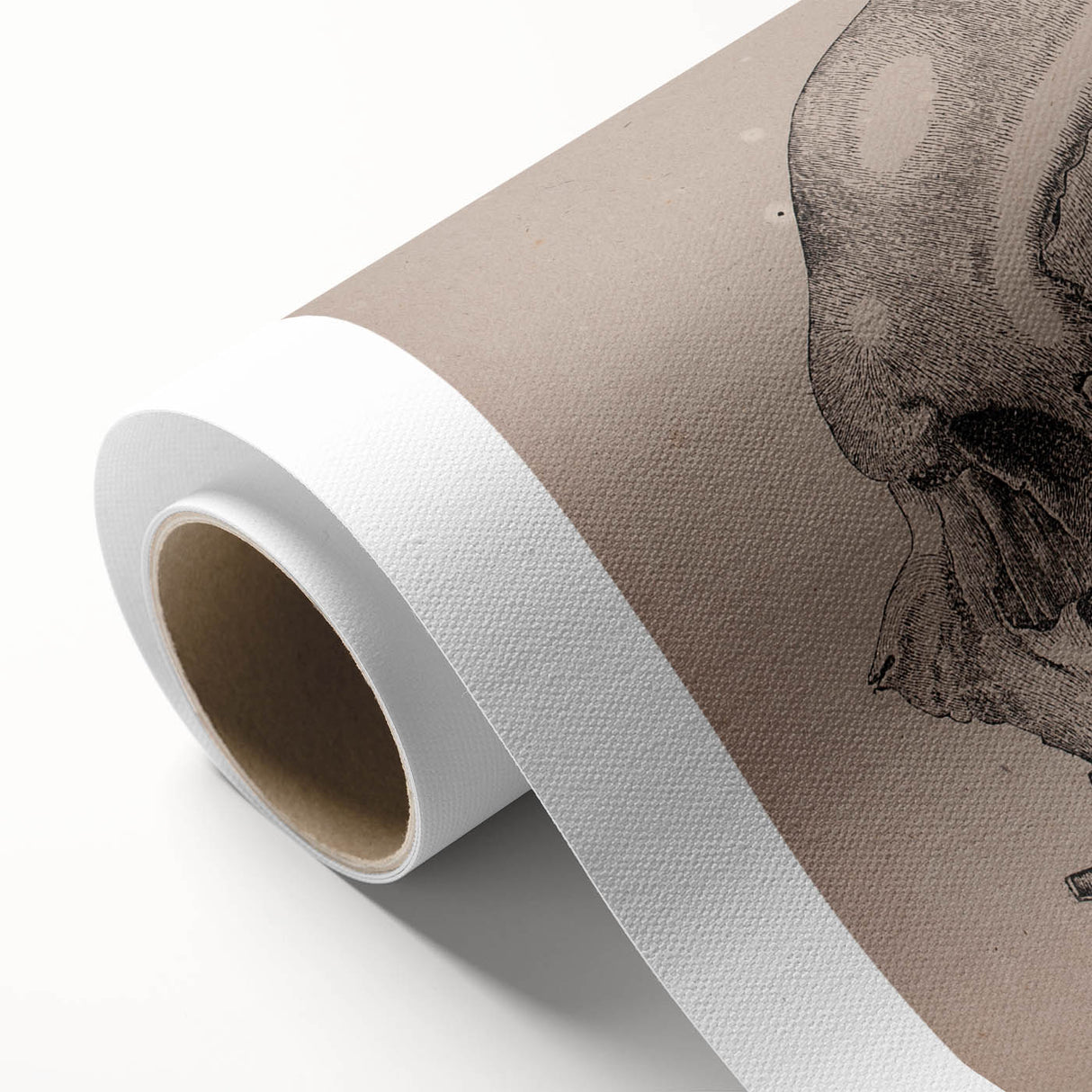 Grunge Skull Wall Art | Urban Grunge Aesthetic Art | Vintage Skull Print