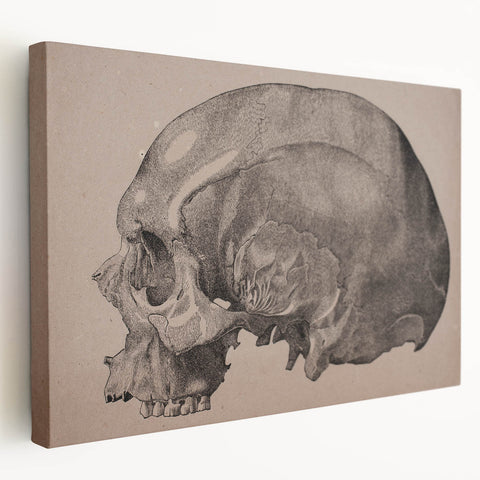 Grunge Skull Wall Art | Urban Grunge Aesthetic Art | Vintage Skull Print