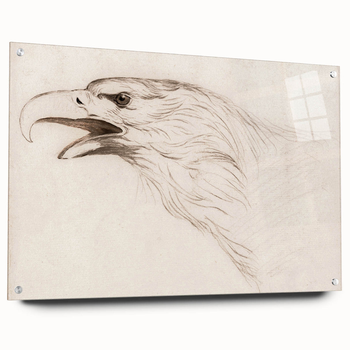 Grunge Wall Art: Abstract Eagle Sketch | Vintage Grunge Canvas Print