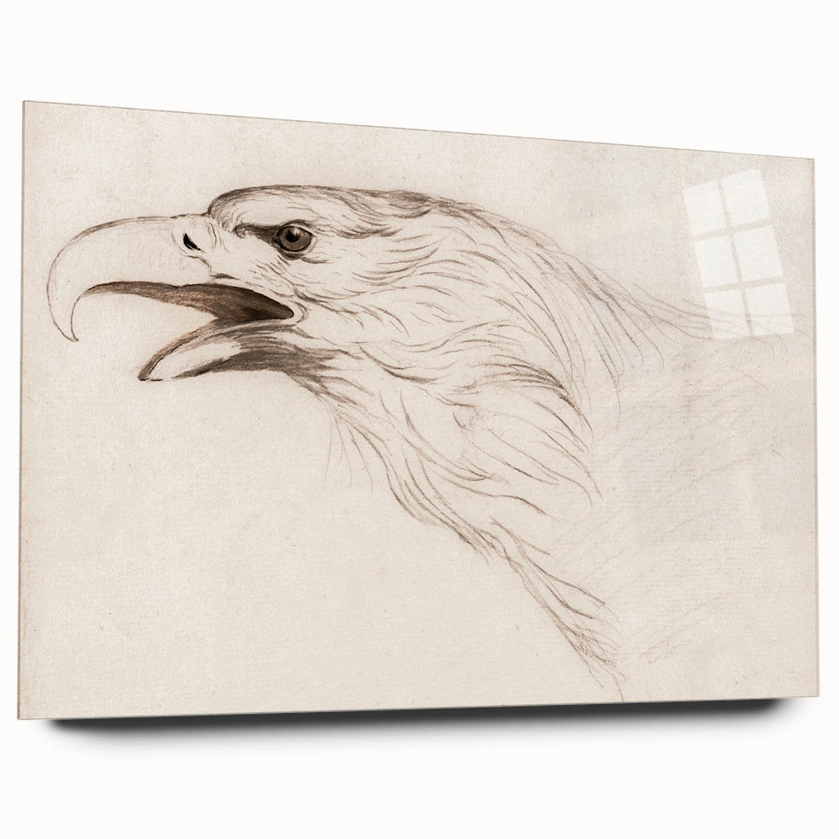 Grunge Wall Art: Abstract Eagle Sketch | Vintage Grunge Canvas Print