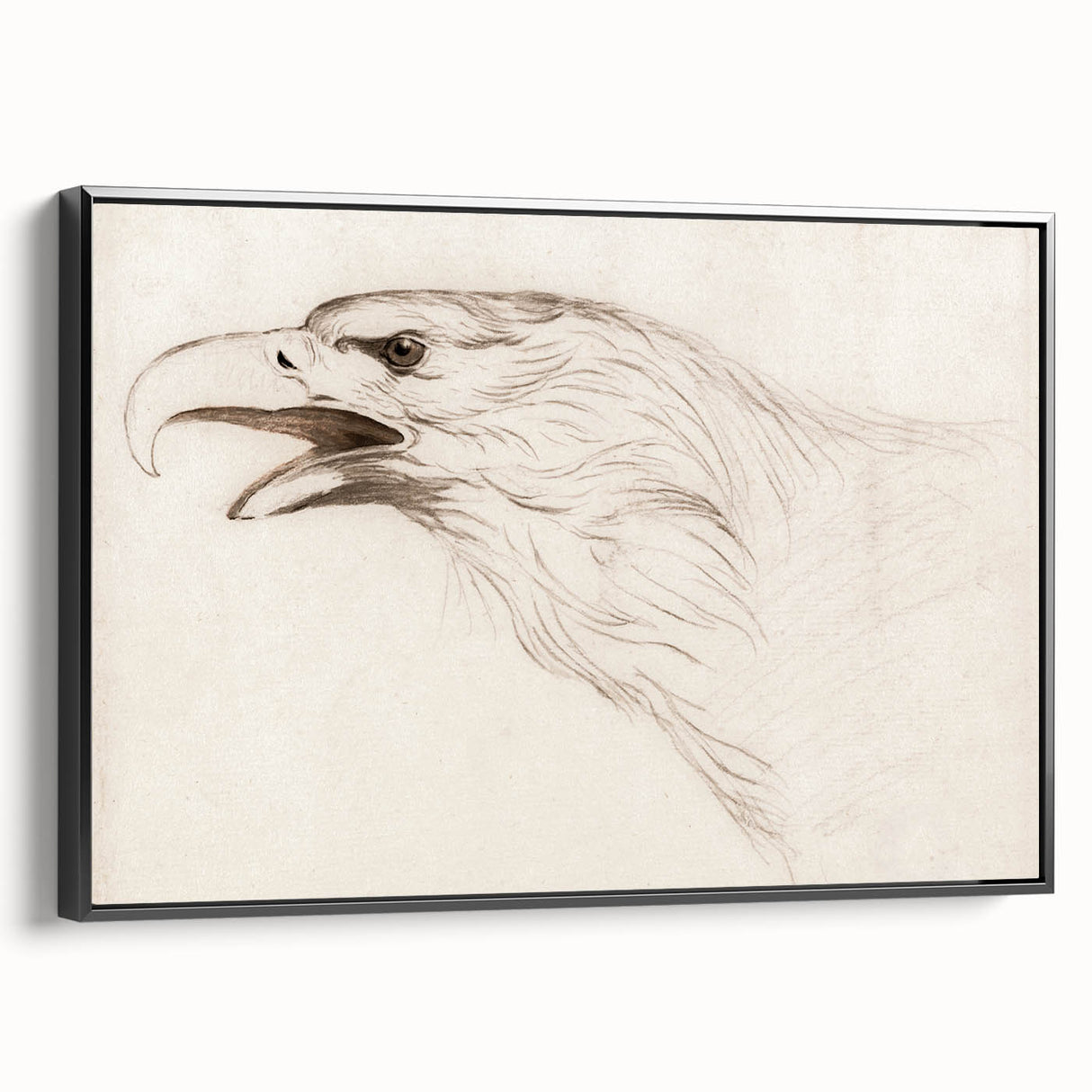 Grunge Wall Art: Abstract Eagle Sketch | Vintage Grunge Canvas Print
