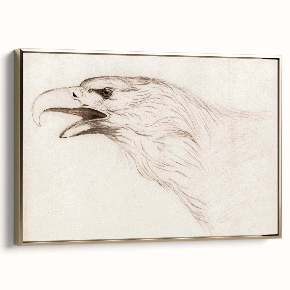 Grunge Wall Art: Abstract Eagle Sketch | Vintage Grunge Canvas Print