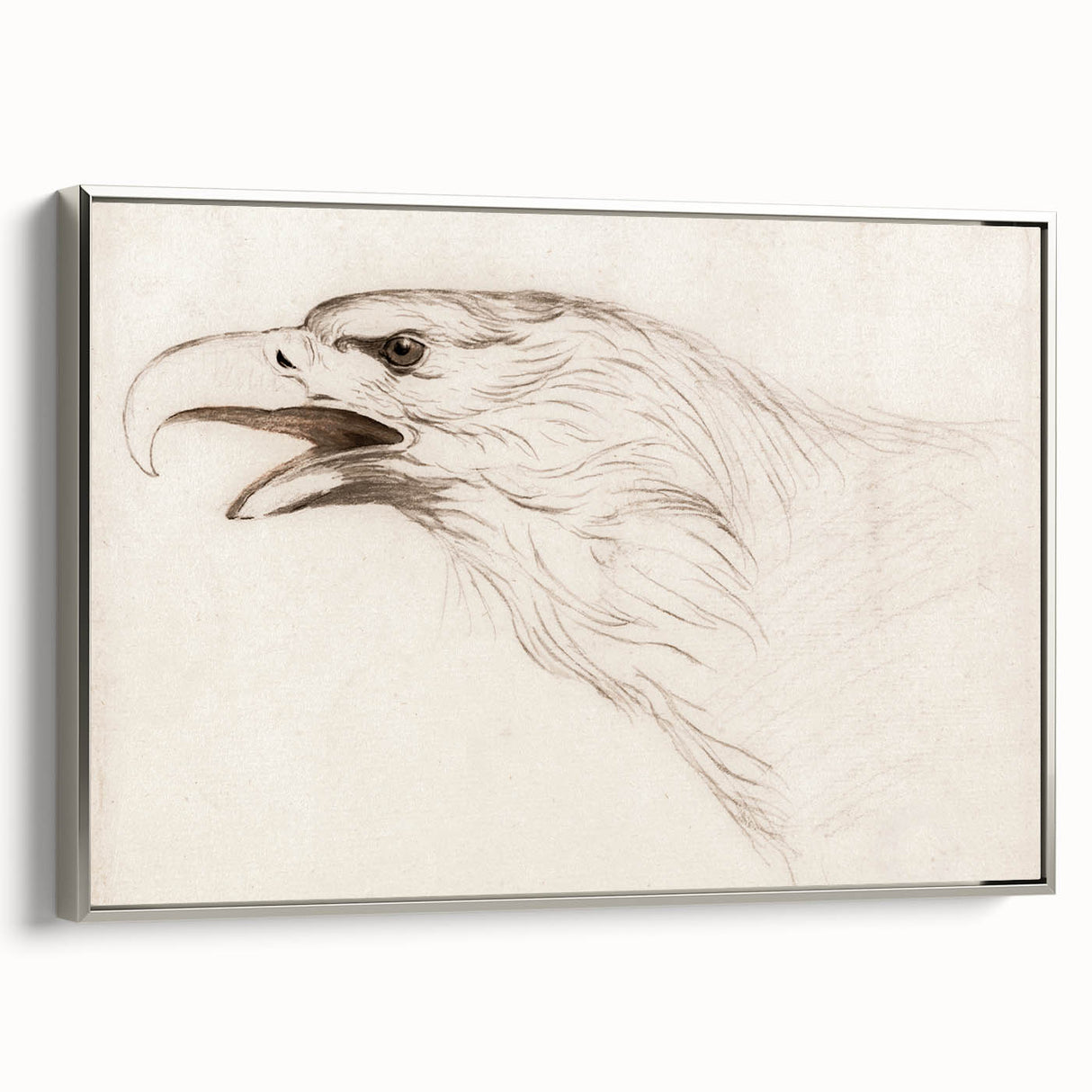 Grunge Wall Art: Abstract Eagle Sketch | Vintage Grunge Canvas Print