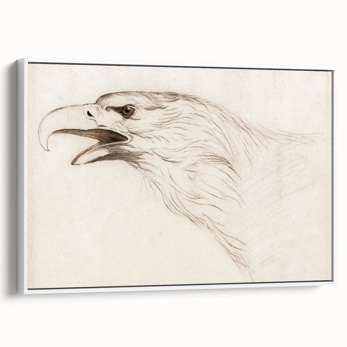 Grunge Wall Art: Abstract Eagle Sketch | Vintage Grunge Canvas Print