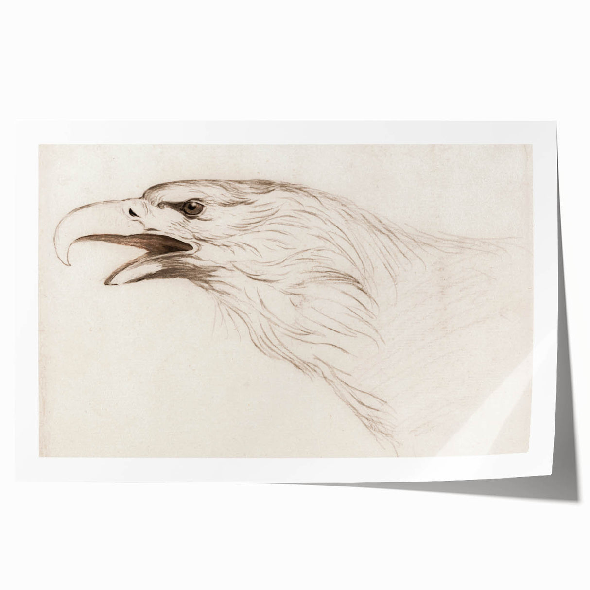 Grunge Wall Art: Abstract Eagle Sketch | Vintage Grunge Canvas Print