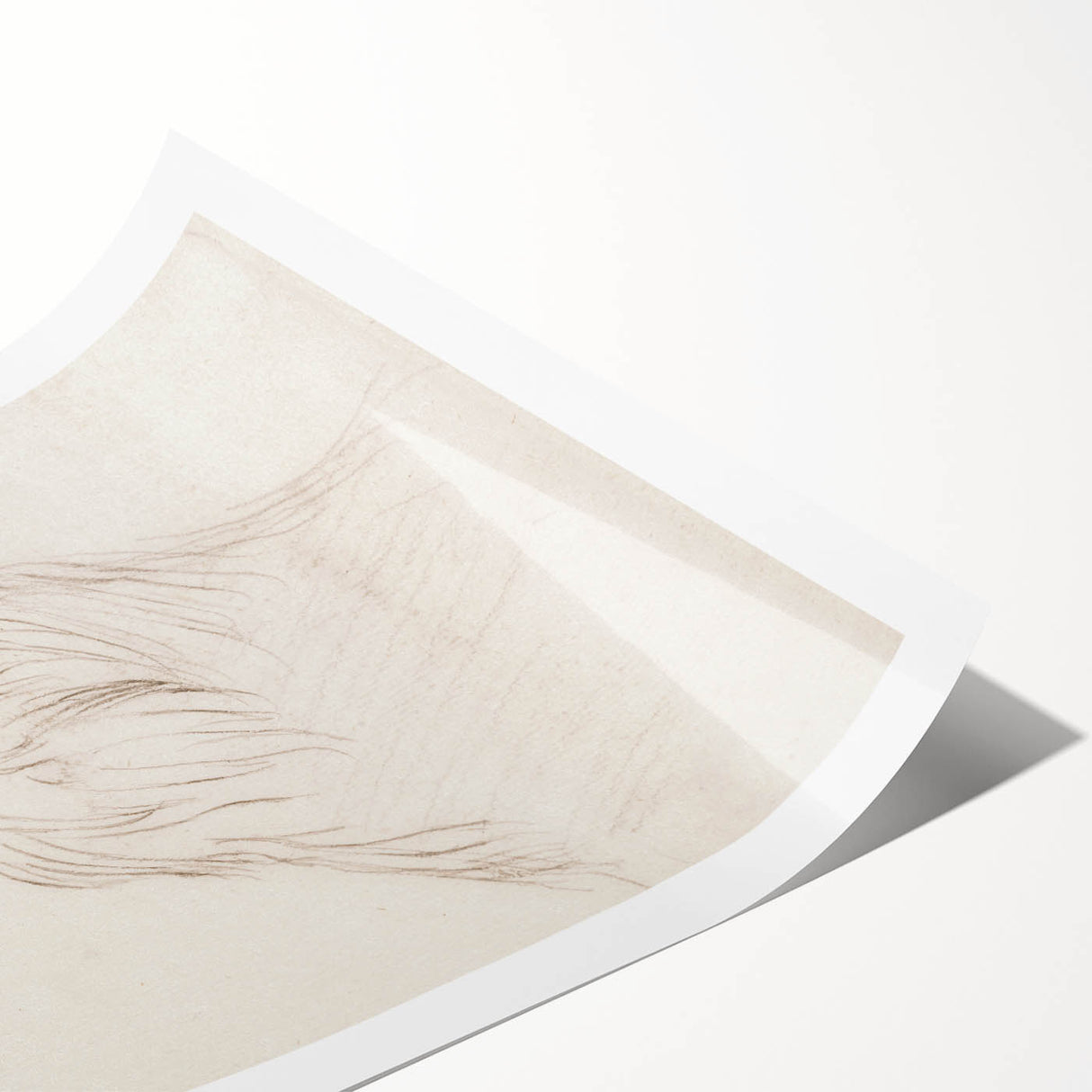 Grunge Wall Art: Abstract Eagle Sketch | Vintage Grunge Canvas Print