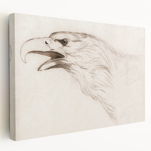 Grunge Wall Art: Abstract Eagle Sketch | Vintage Grunge Canvas Print