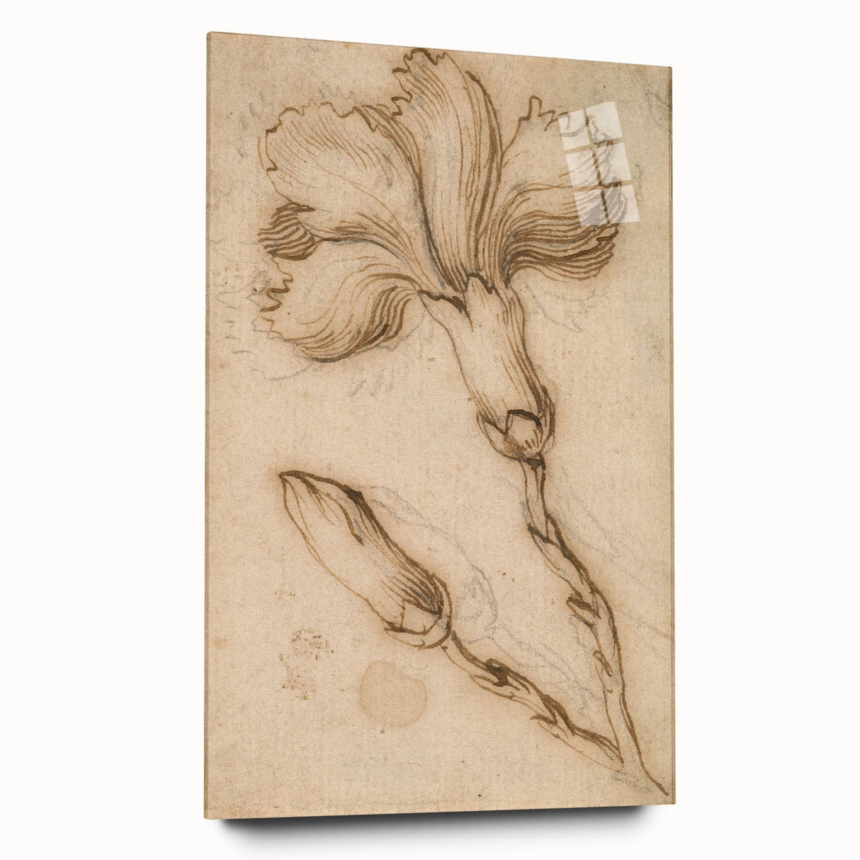 Grunge Wall Art Vintage Floral Sketch Abstract Grunge Canvas Print