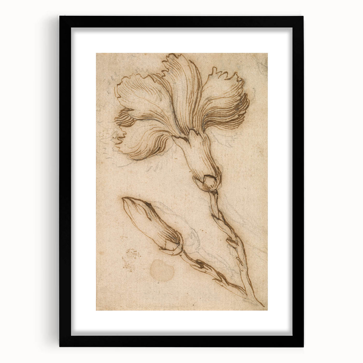 Grunge Wall Art Vintage Floral Sketch Abstract Grunge Canvas Print