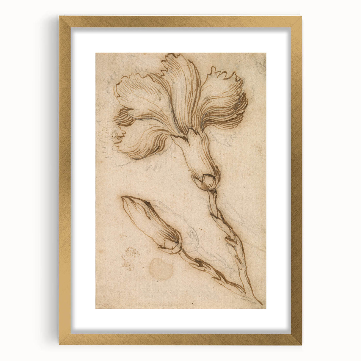 Grunge Wall Art Vintage Floral Sketch Abstract Grunge Canvas Print