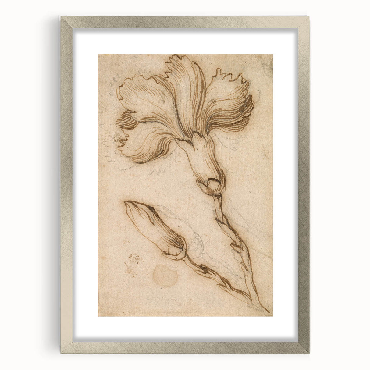 Grunge Wall Art Vintage Floral Sketch Abstract Grunge Canvas Print