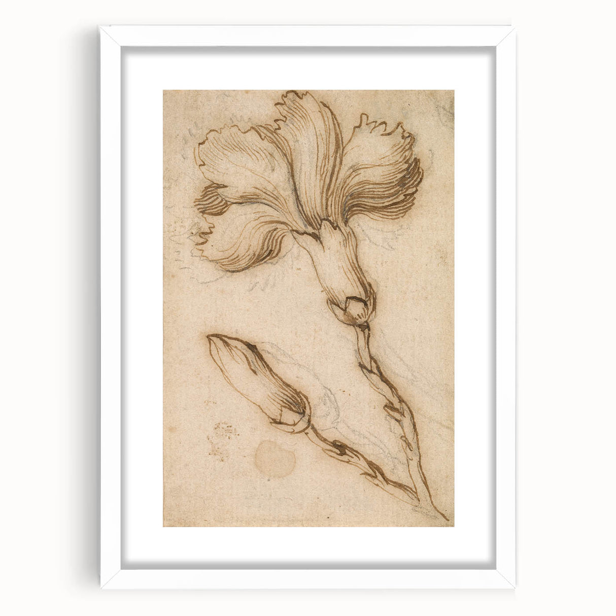 Grunge Wall Art Vintage Floral Sketch Abstract Grunge Canvas Print