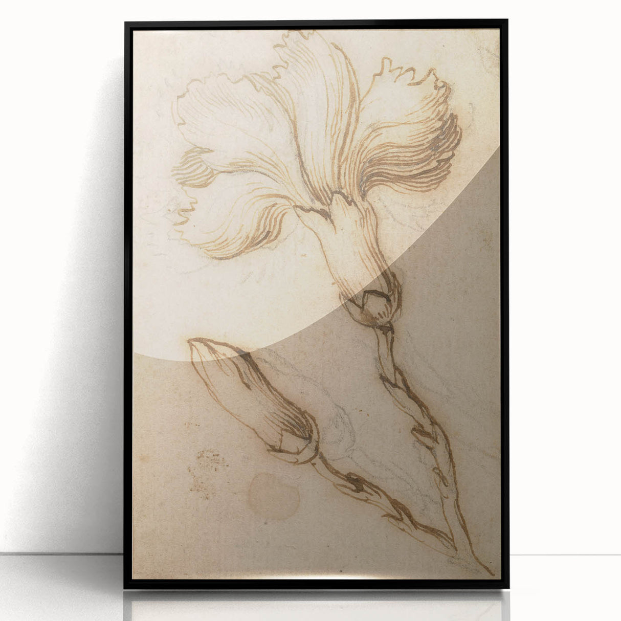 Grunge Wall Art Vintage Floral Sketch Abstract Grunge Canvas Print
