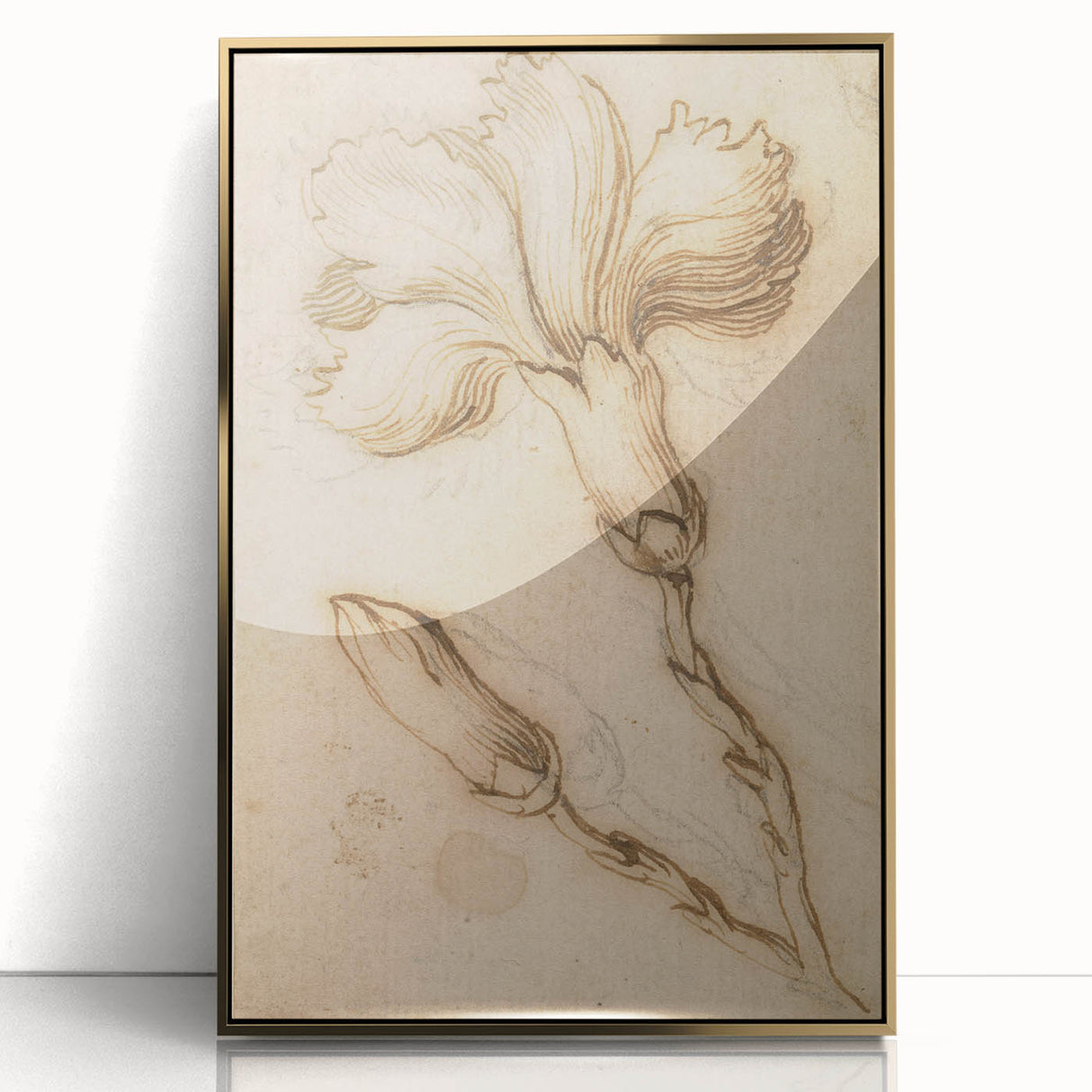 Grunge Wall Art Vintage Floral Sketch Abstract Grunge Canvas Print