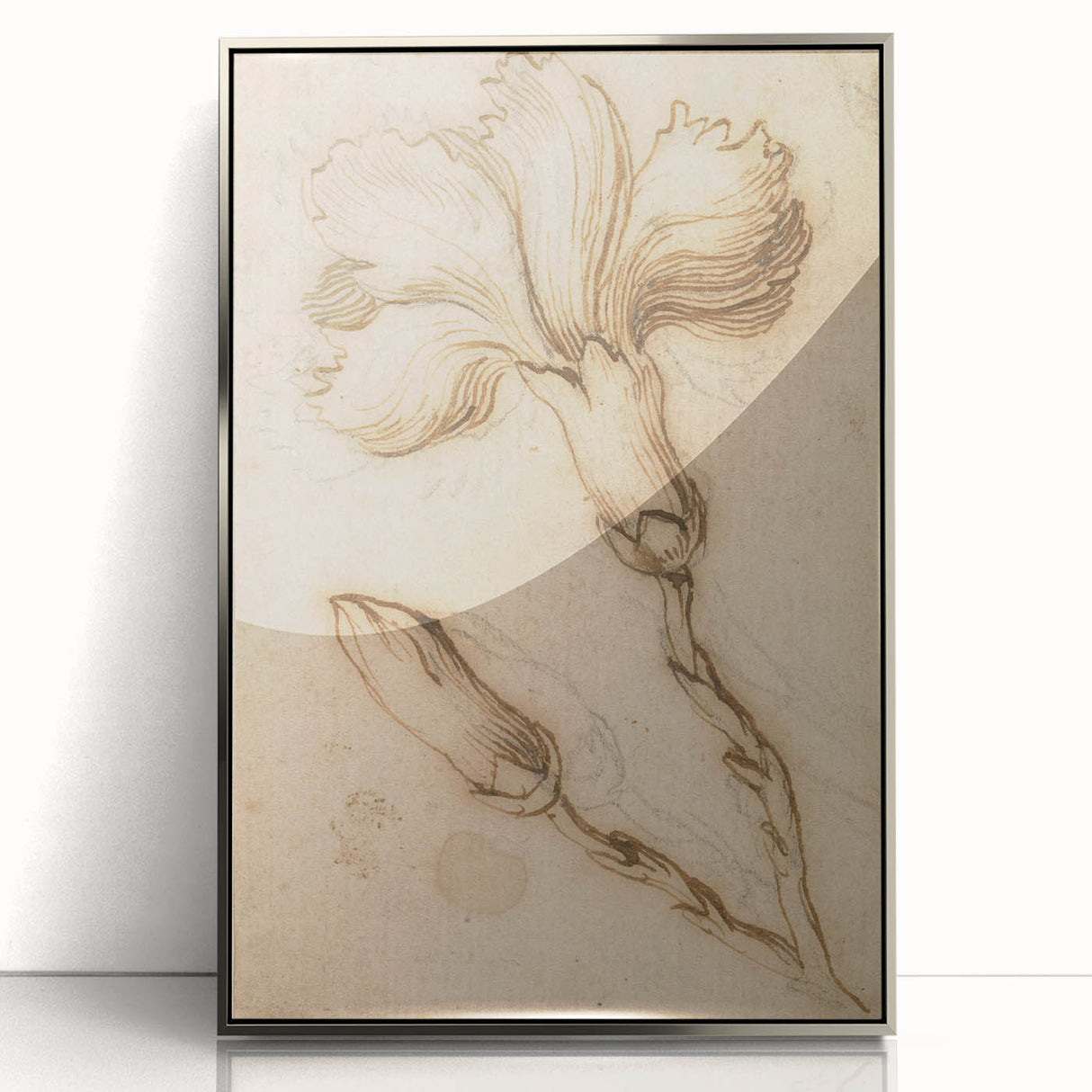 Grunge Wall Art Vintage Floral Sketch Abstract Grunge Canvas Print