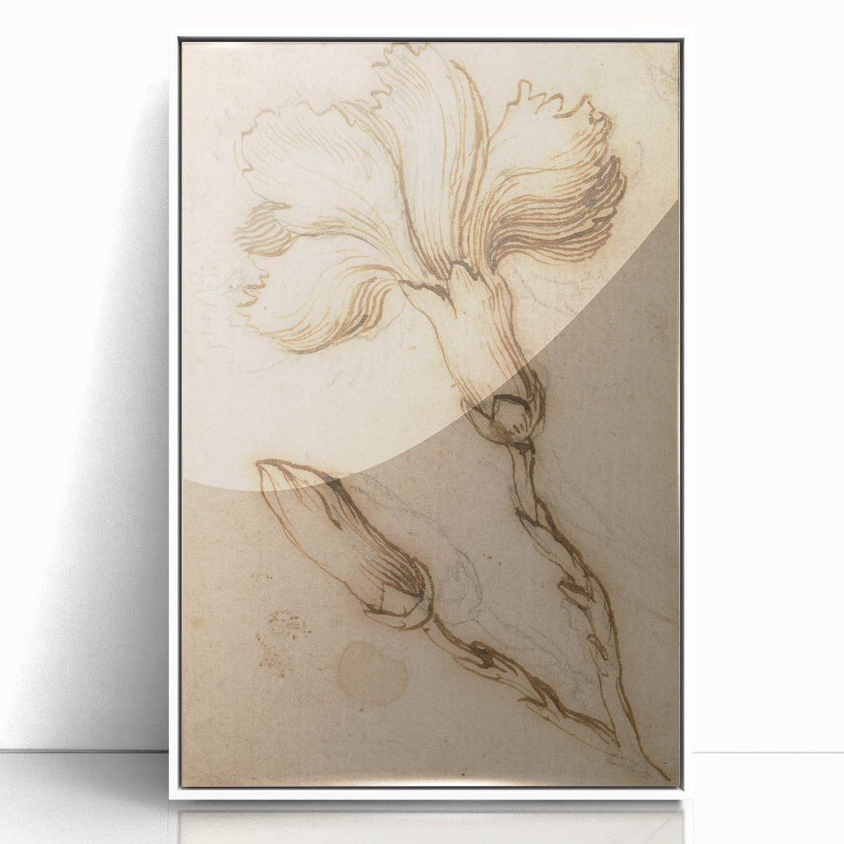 Grunge Wall Art Vintage Floral Sketch Abstract Grunge Canvas Print