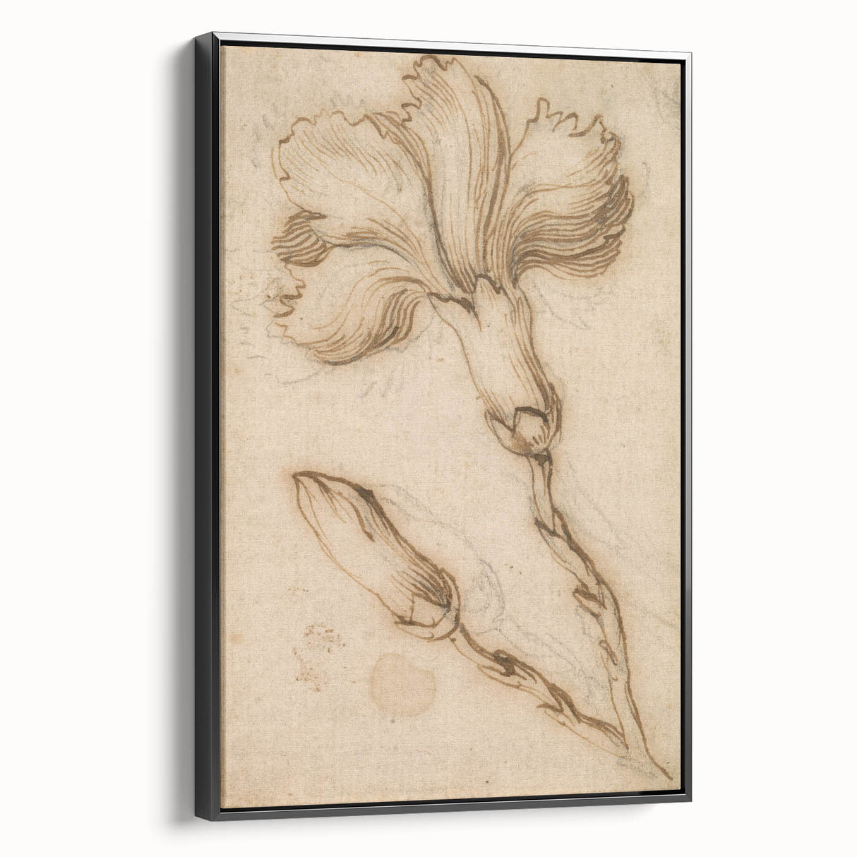 Grunge Wall Art Vintage Floral Sketch Abstract Grunge Canvas Print