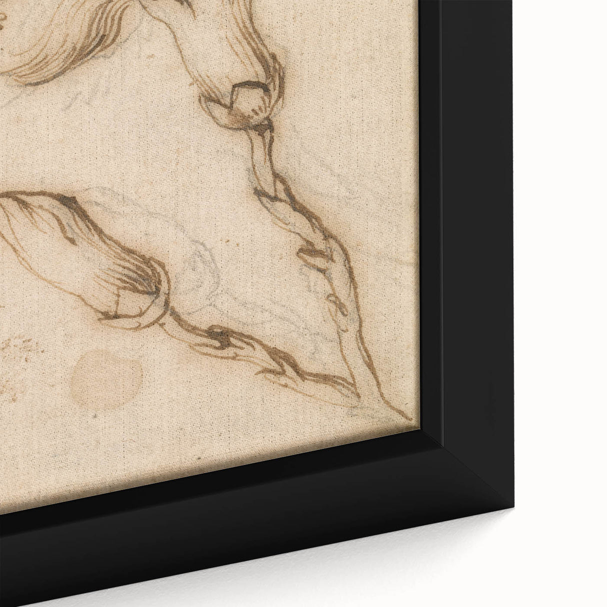 Grunge Wall Art Vintage Floral Sketch Abstract Grunge Canvas Print