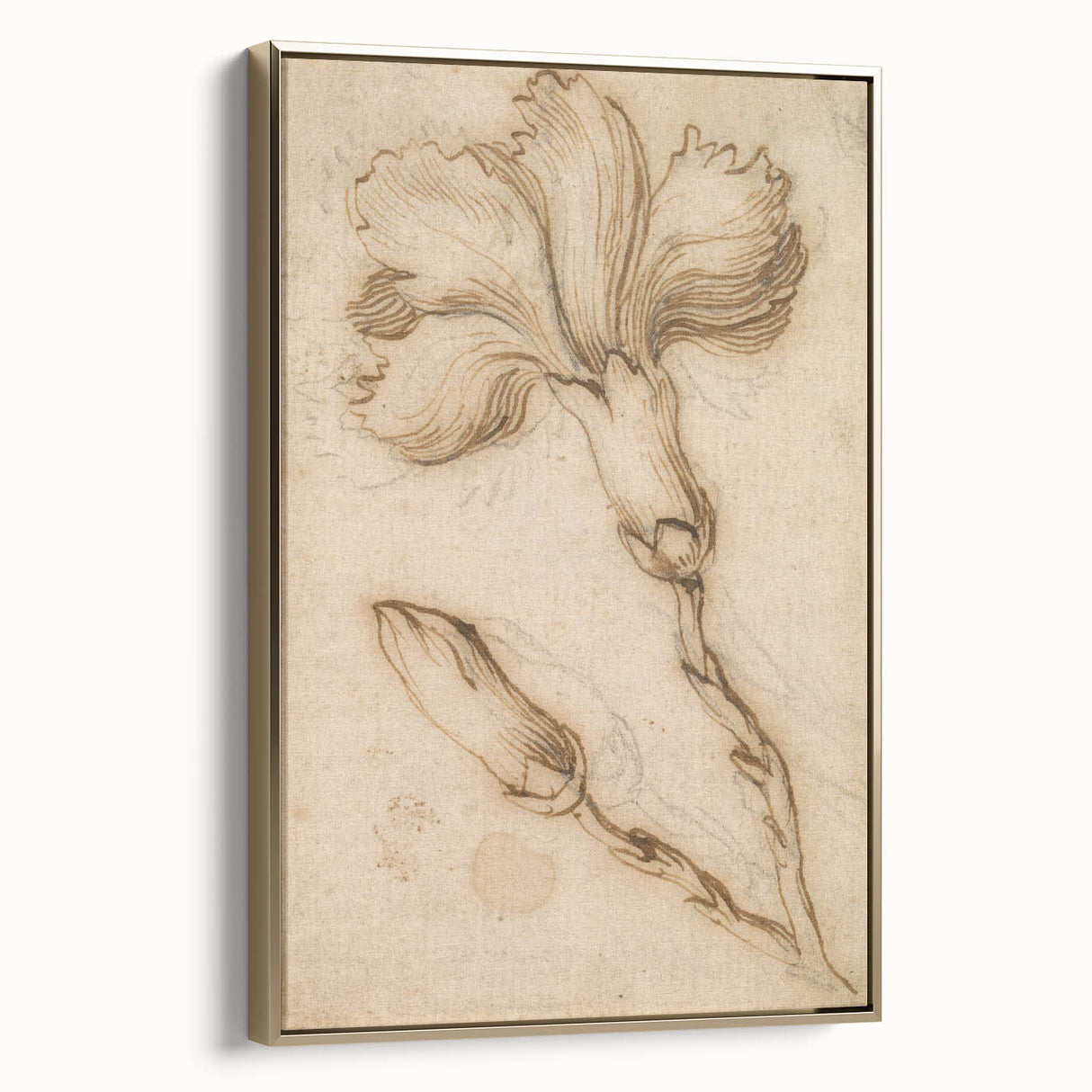 Grunge Wall Art Vintage Floral Sketch Abstract Grunge Canvas Print