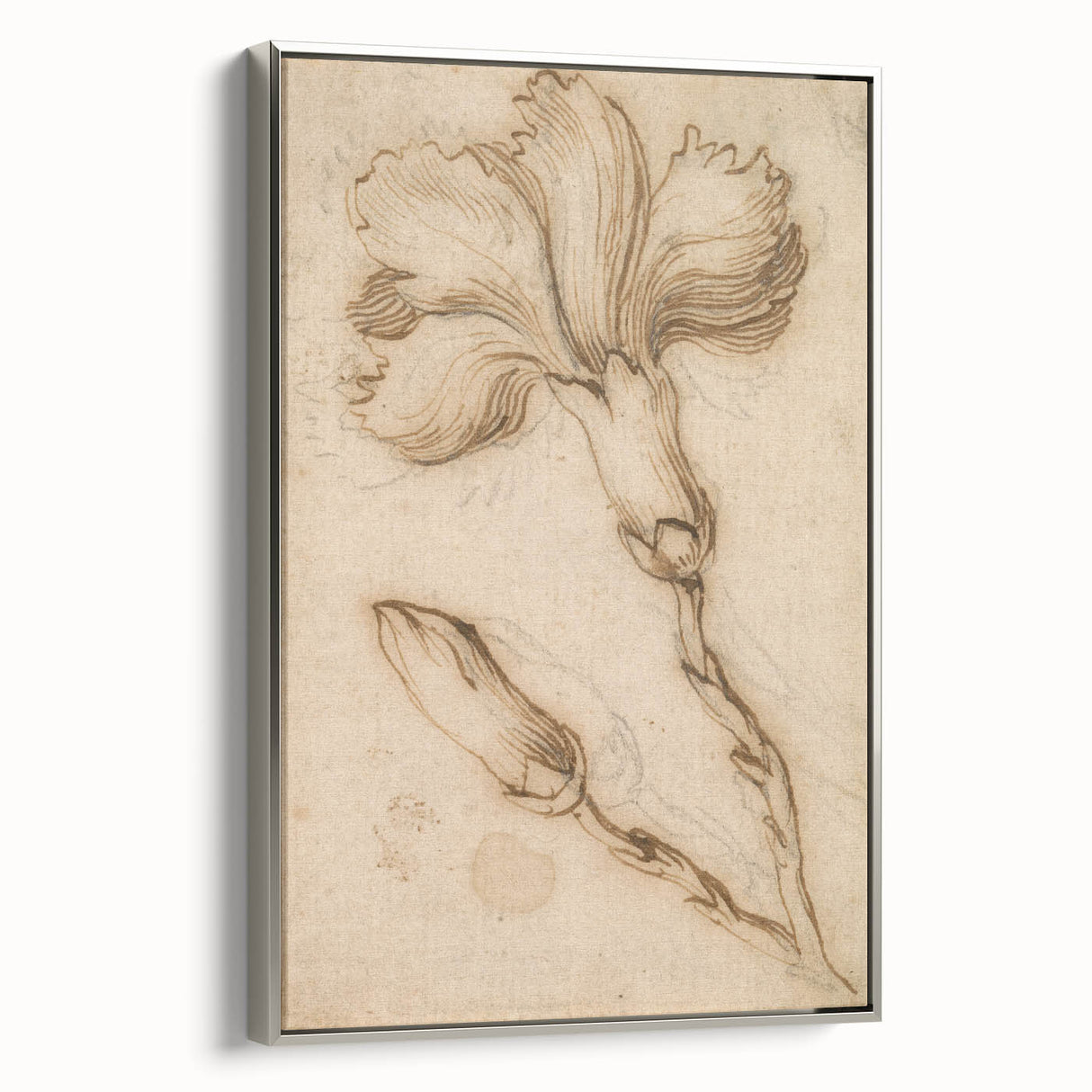 Grunge Wall Art Vintage Floral Sketch Abstract Grunge Canvas Print