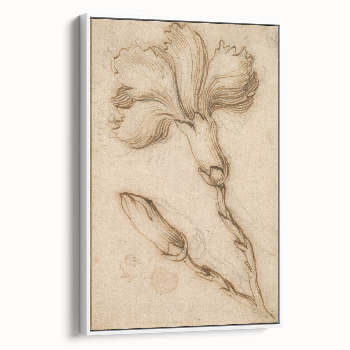 Grunge Wall Art Vintage Floral Sketch Abstract Grunge Canvas Print