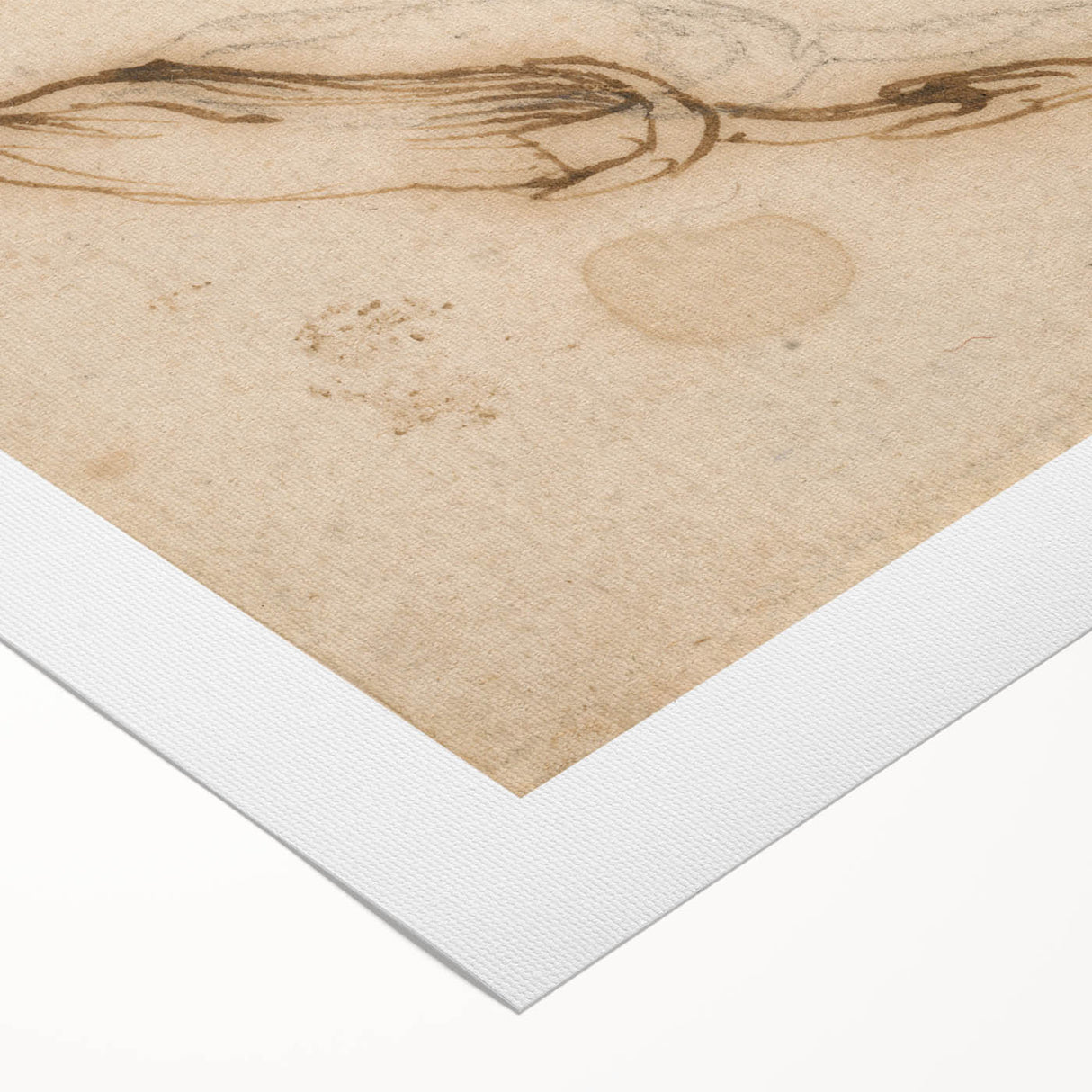 Grunge Wall Art Vintage Floral Sketch Abstract Grunge Canvas Print