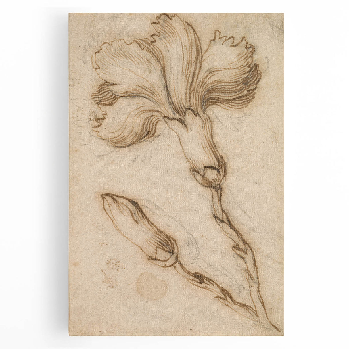 Grunge Wall Art Vintage Floral Sketch Abstract Grunge Canvas Print