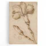 Grunge Wall Art Vintage Floral Sketch Abstract Grunge Canvas Print
