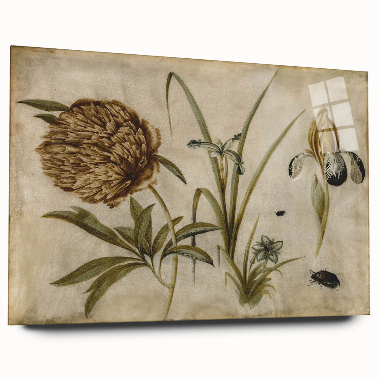 Grunge Wall Art: Botanical Insects Illustration | Vintage Grunge Canvas Print
