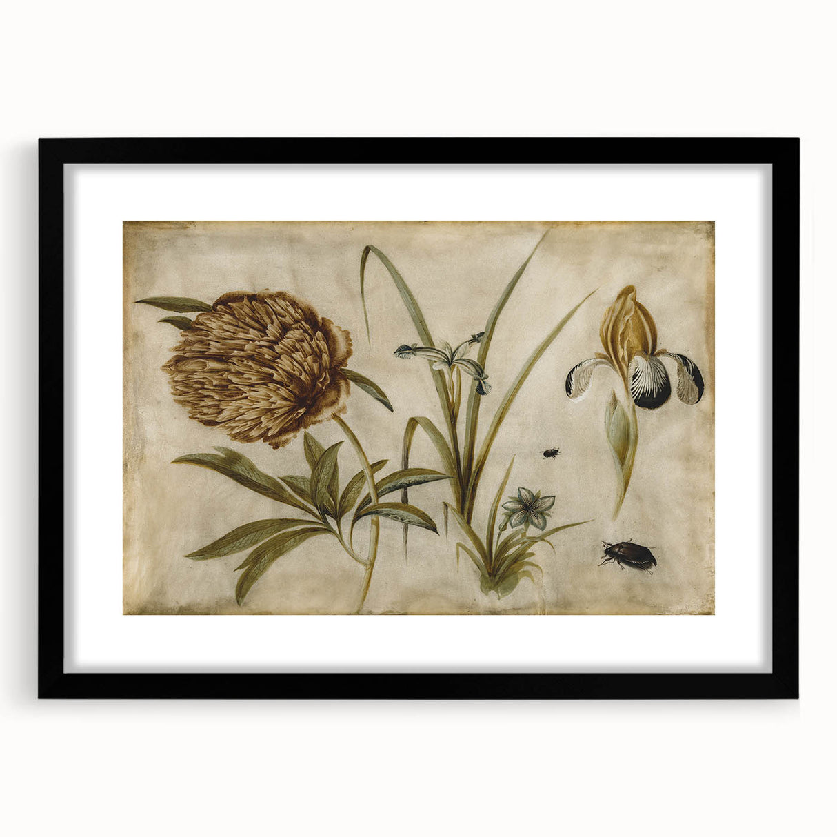 Grunge Wall Art: Botanical Insects Illustration | Vintage Grunge Canvas Print