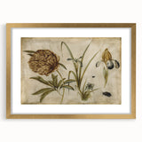Grunge Wall Art: Botanical Insects Illustration | Vintage Grunge Canvas Print