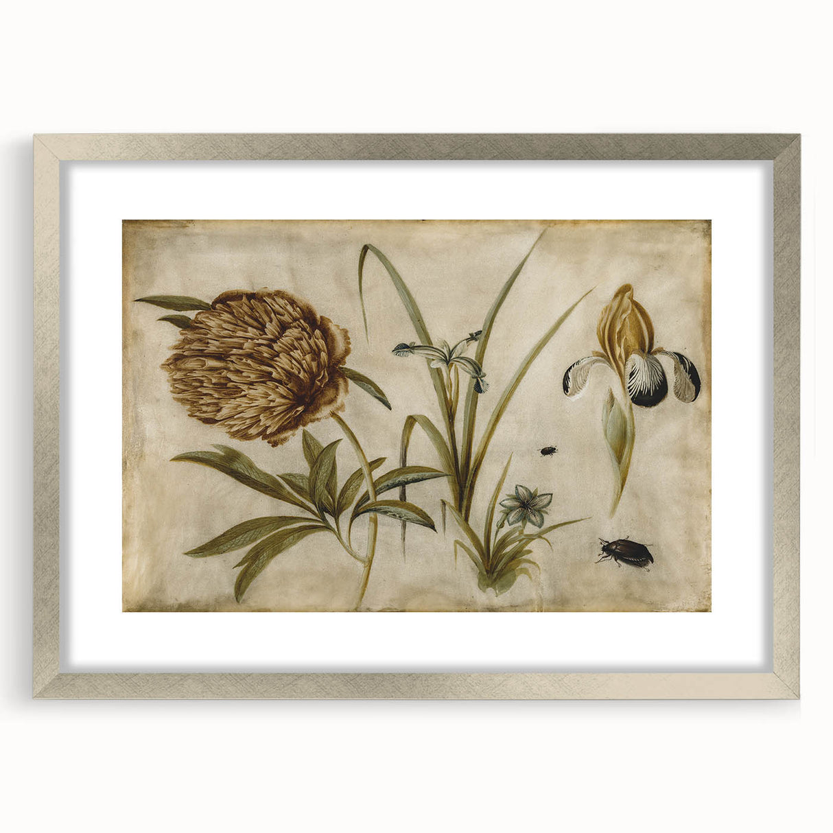 Grunge Wall Art: Botanical Insects Illustration | Vintage Grunge Canvas Print